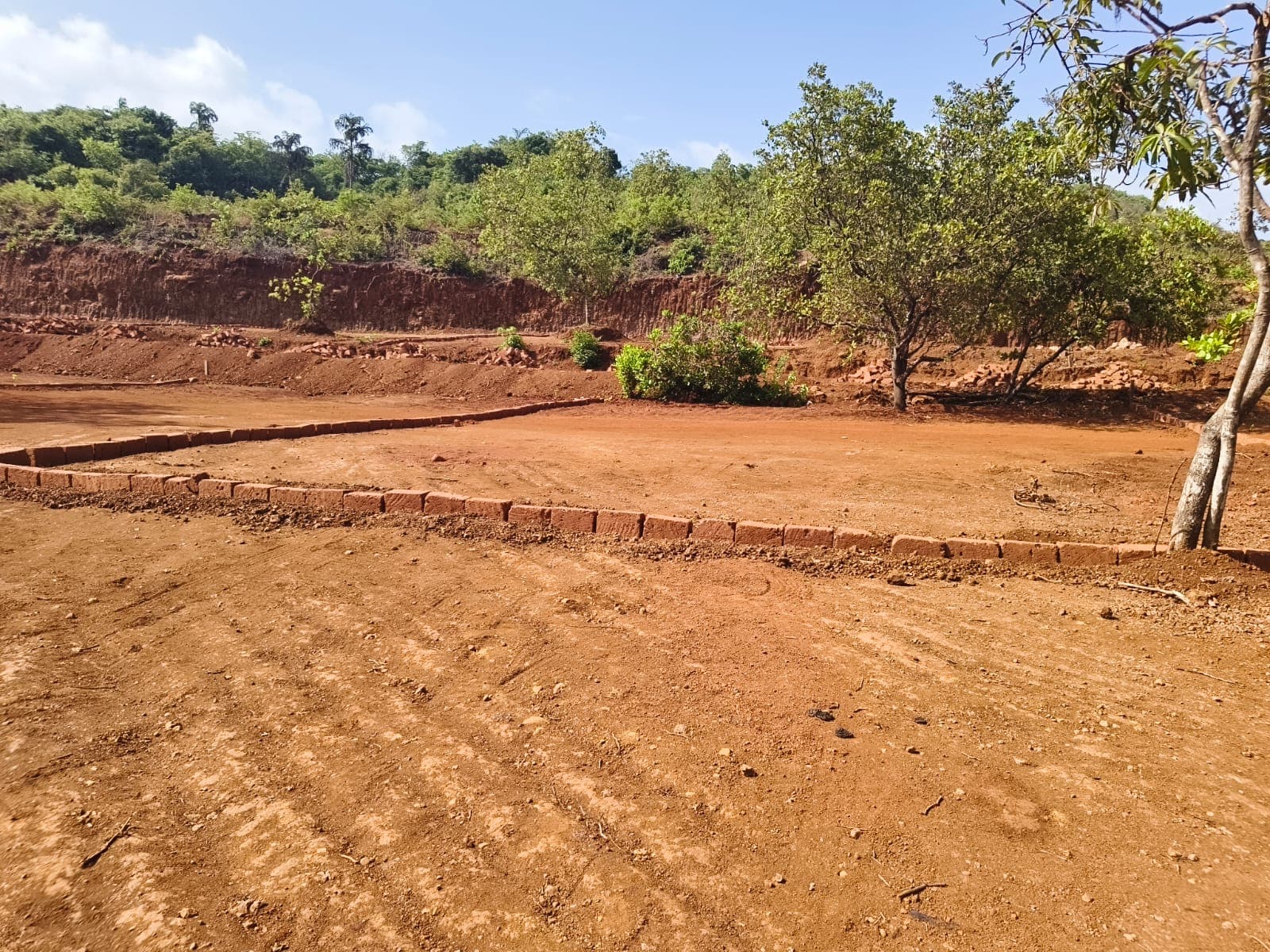 Levelled plot with low boundary edging and trees