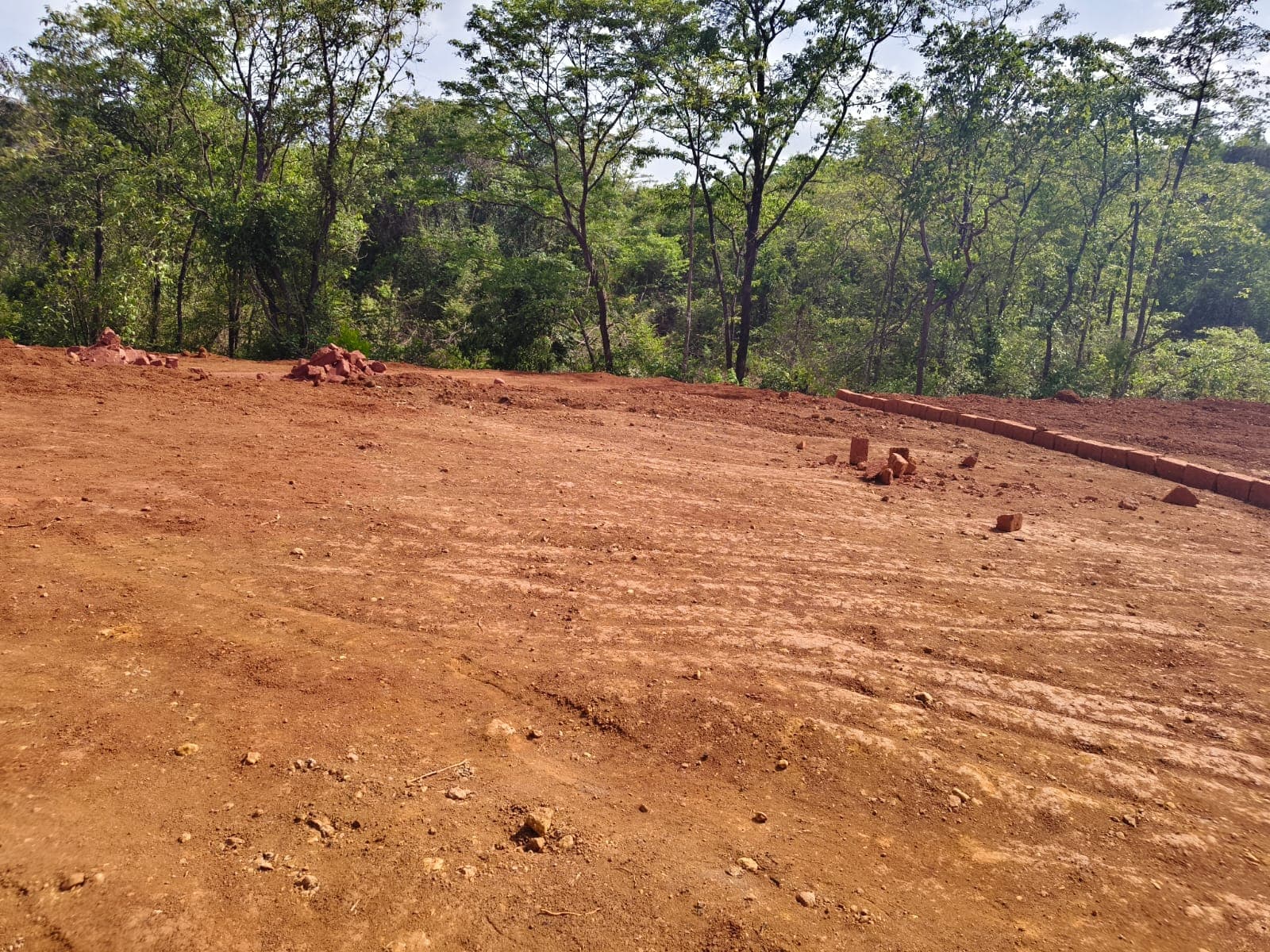Levelled plot at the edge of the forest