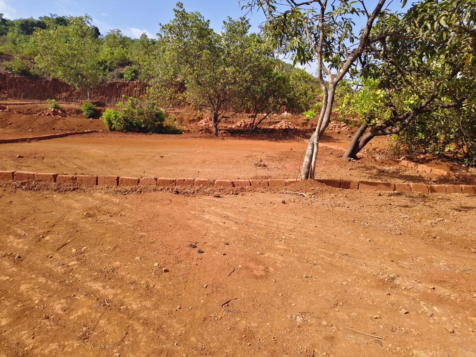Levelled plot with boundary edging among mature trees