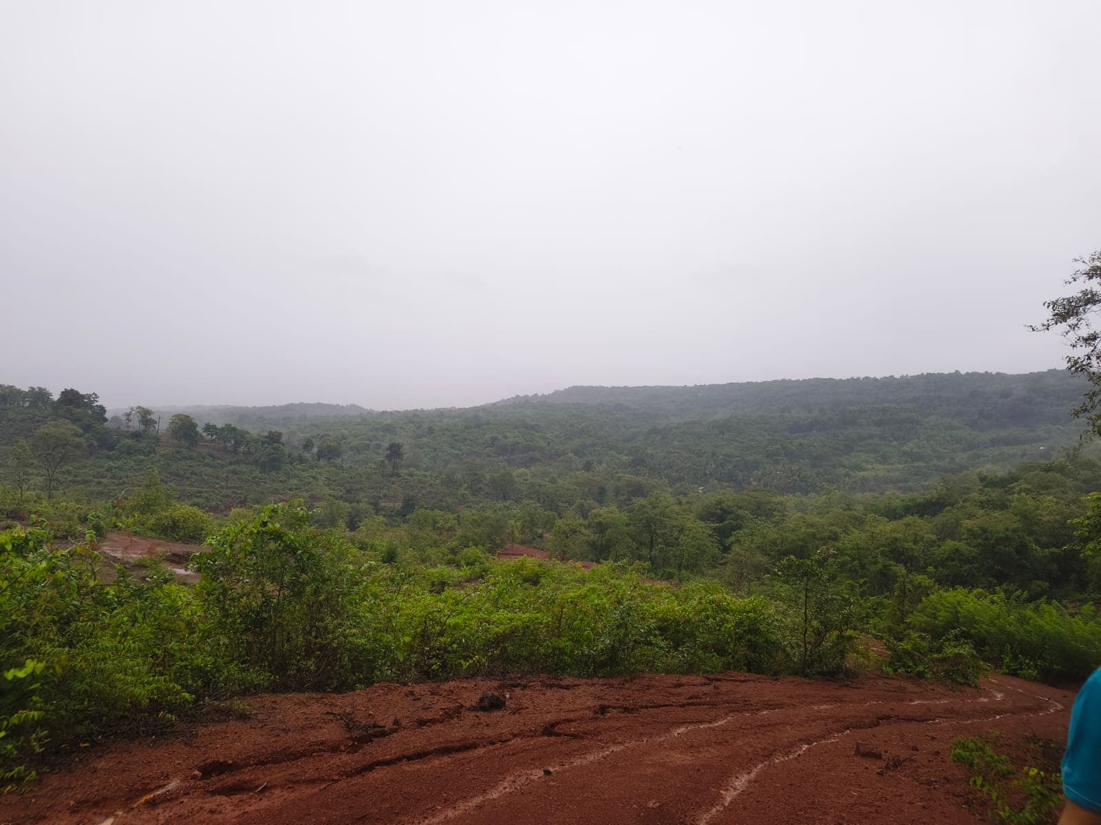 Alternate monsoon view across the forested valley