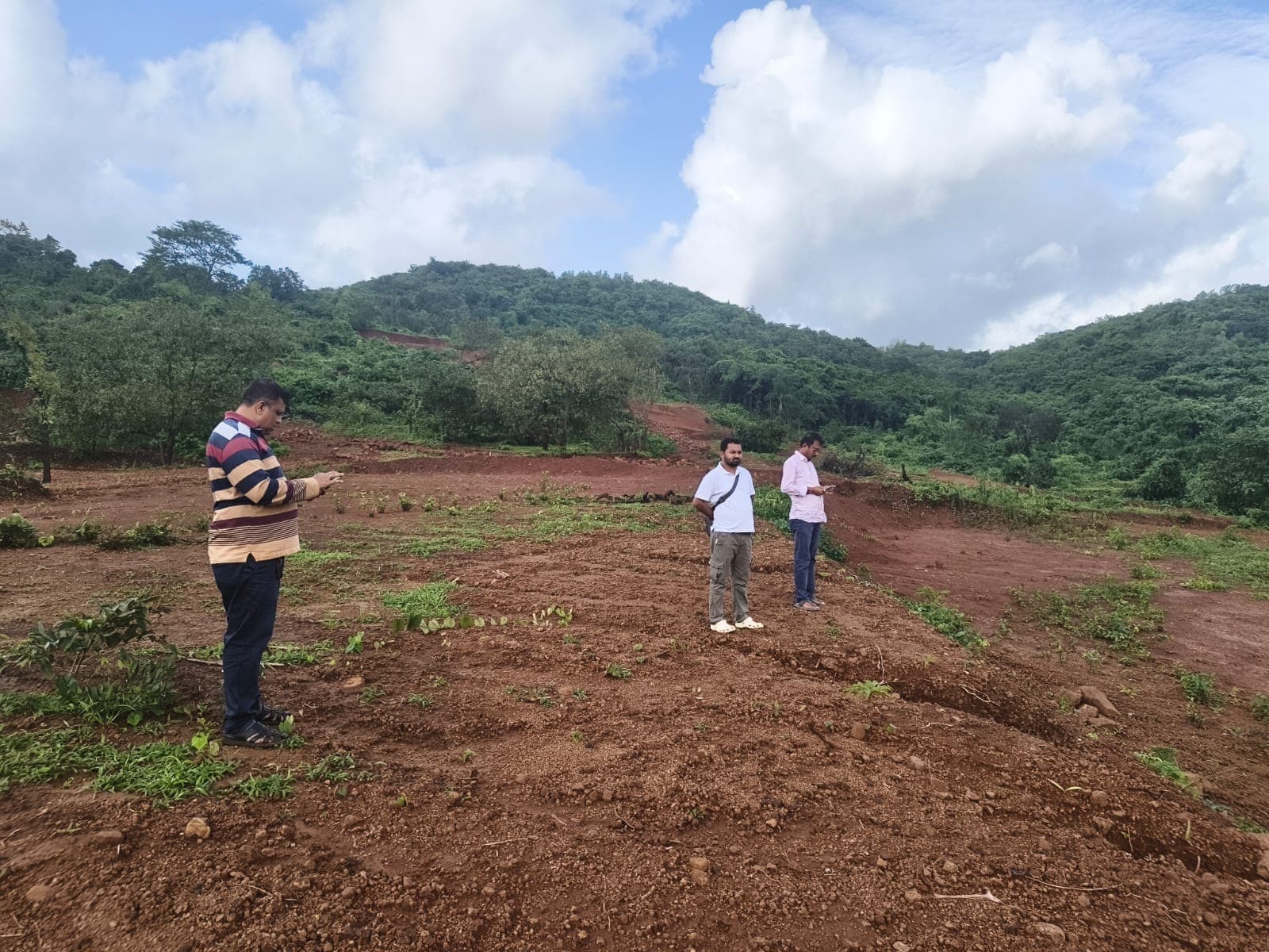 Visitors inspecting the hillside plots at the site